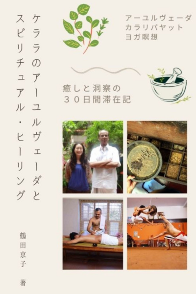 ayurveda book cover ayurveda book cover